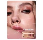 پالت سایه چشم The Berry شیگلم - Image 4